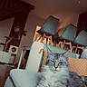 cat, fluffy_cat, sofa, couch, indoor, living_room, chair, lamp, pillow, modern_interior, relaxed, pet, furniture, home, animal, domestic_cat, resting, cozy, grey_cat, long_hair