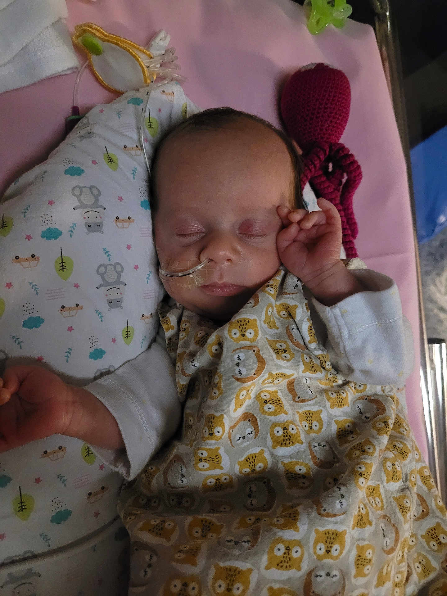 Léïa participe au concours pour gagner de l'argent avec cette photo : baby, sleeping, nasal_tube, blanket, pillow, knitted_toy, octopus, animal_print, infant, cute, bed, resting, child, toddler, soft_lighting, indoors, peaceful, nursery, clothing, healthcare