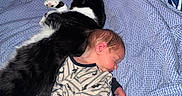Bryce joined the competition — help win amazing prizes! animal, baby, bed, black_and_white, blanket, cat, child, cozy, cute, fur, home, indoor, newborn, pajamas, peaceful, pet, relaxation, resting, sleeping, striped