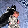 baby, newborn, cat, sleeping, bed, pajamas, striped, black_and_white, pet, cozy, indoor, peaceful, resting, fur, animal, child, blanket, cute, relaxation, home