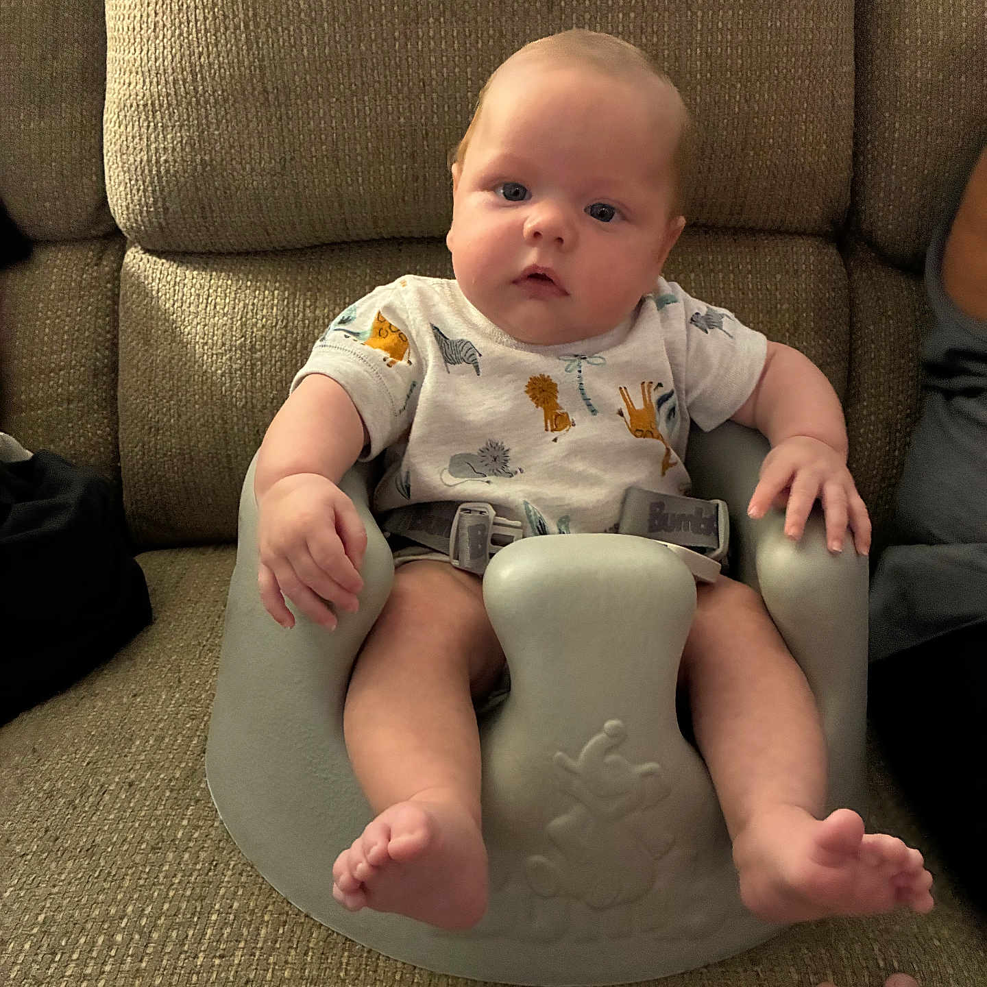 Bryce is registered to the contest to win money with this photo: baby, child, infant, baby_seat, couch, fabric, onesie, animal_print, hand, indoor, person, seated, curious_expression, plush, soft_lighting, home, furniture, portrait, skin, foot