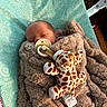 newborn, baby, sleeping, blanket, pacifier, plush_toy, giraffe, soft_toy, infant, cozy, patterned_background, fabric, child, cute, resting, indoors, peaceful, wrapped, toddler, comfort