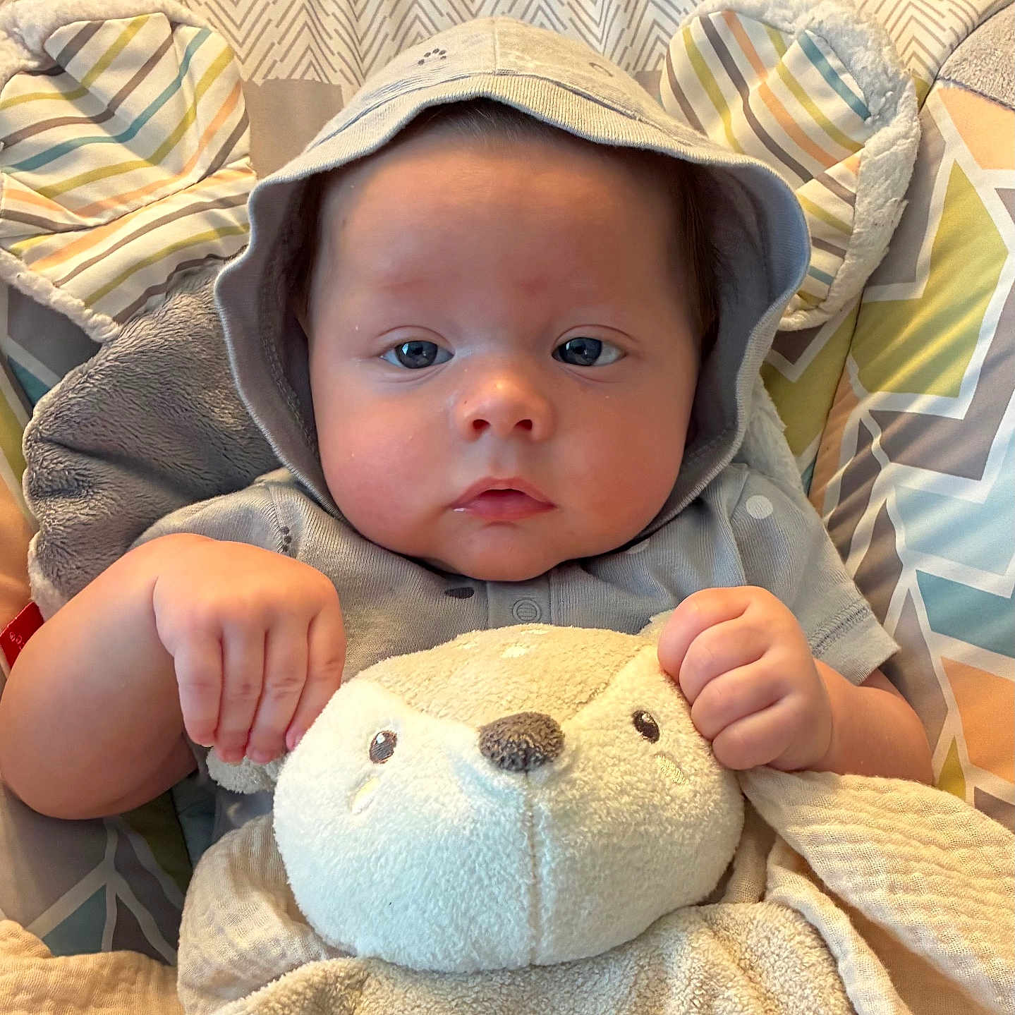 Bryce joined the competition — help win amazing prizes! baby, child, infant, hood, stuffed_animal, toy, couch, blanket, cute, face, hands, patterned_background, soft, cozy, indoor, portrait, expression, person, clothing, comfort