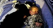 Bryce is registered to the contest to win money with this photo: baby, newborn, sleeping, cat, black_and_white_cat, bed, blanket, pajamas, striped_clothing, animal, pet, cozy, resting, indoor, home, cute, peaceful, together, infant, soft_lighting