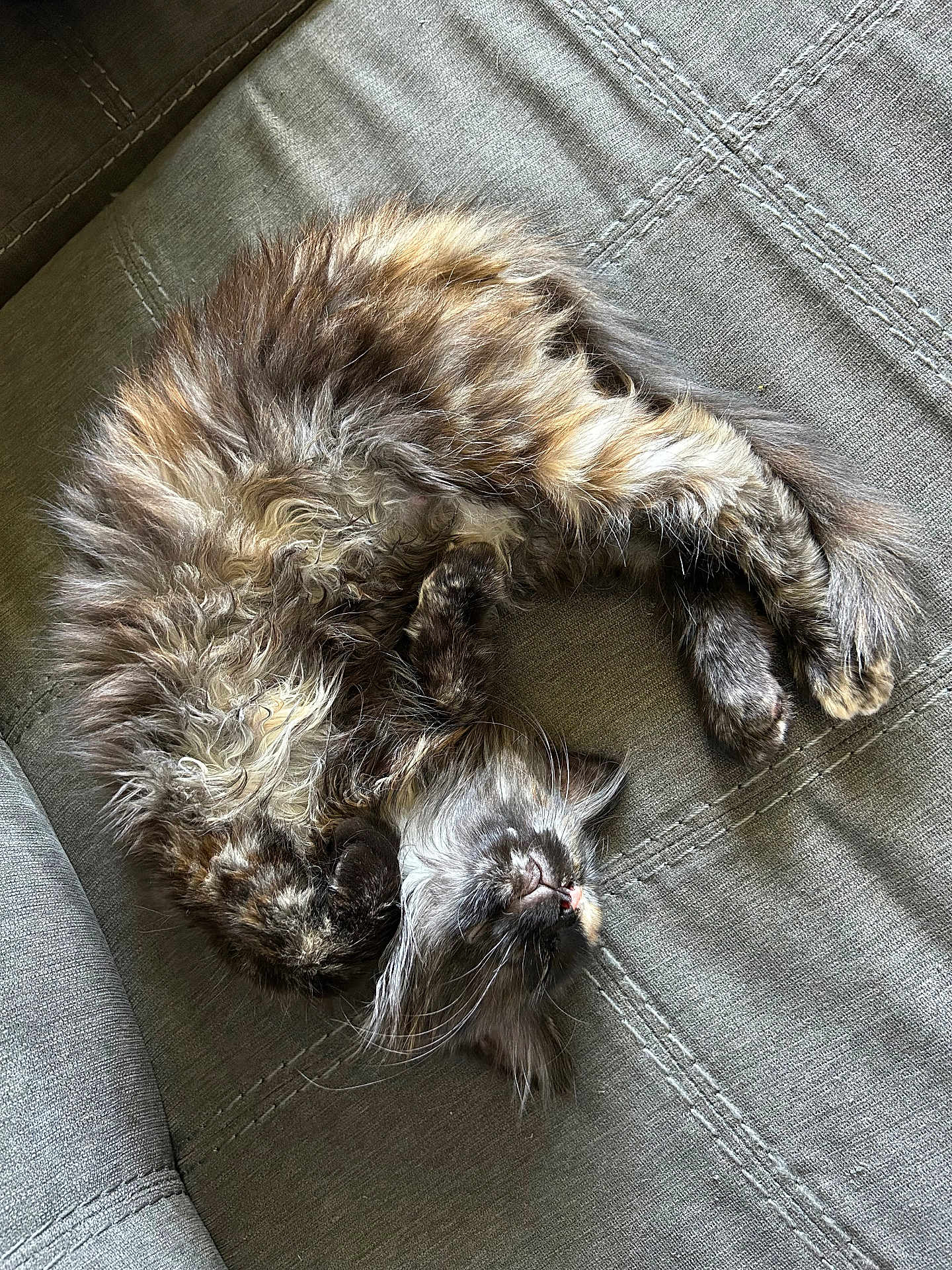 Minka