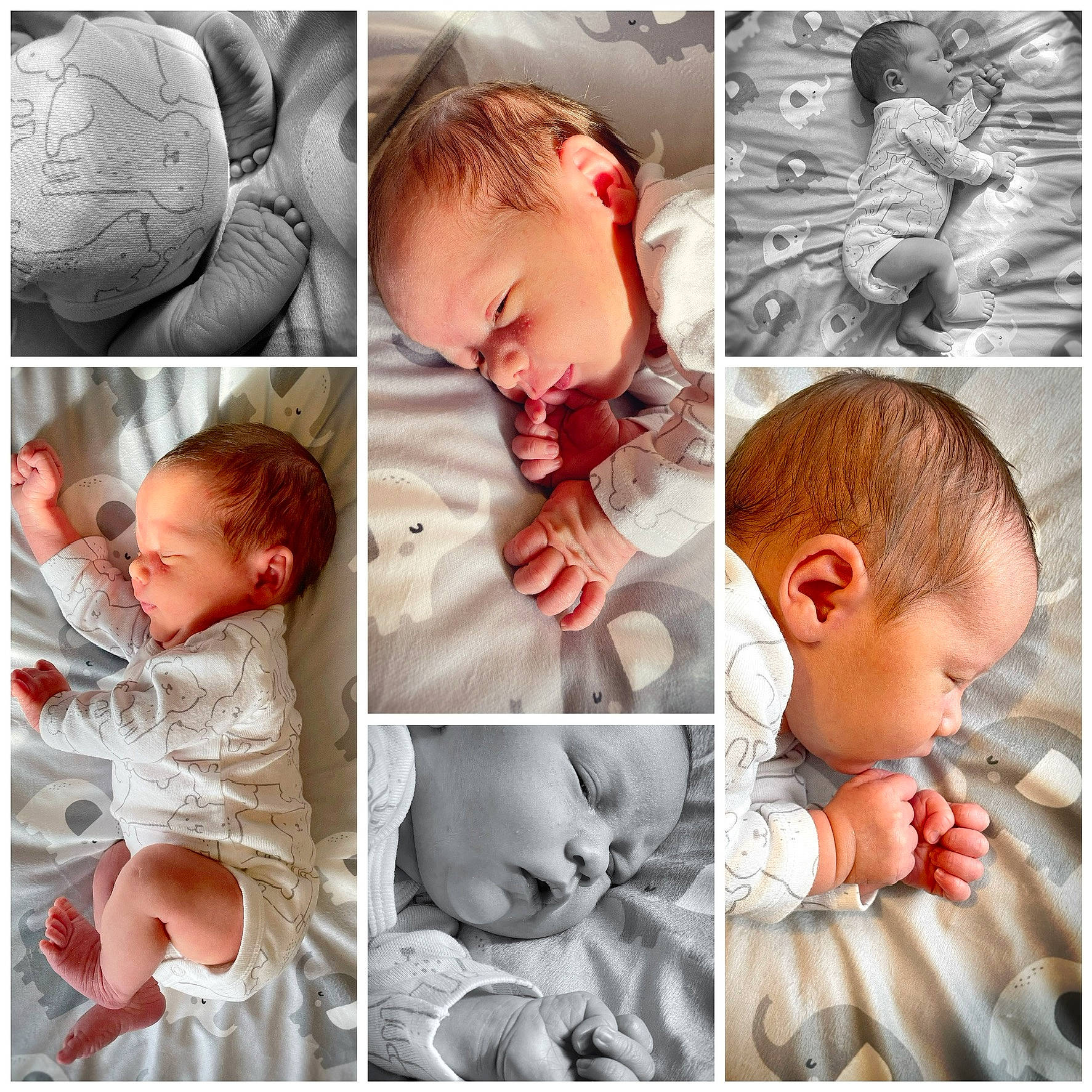 Cole joined the competition — help win amazing prizes! baby_toddler_clothing, cheek, chin, comfort, ear, forehead, gesture, hairstyle, happy, human, mammal, mouth, muscle, neck, nose, organ, person, photograph, skin, sleeve