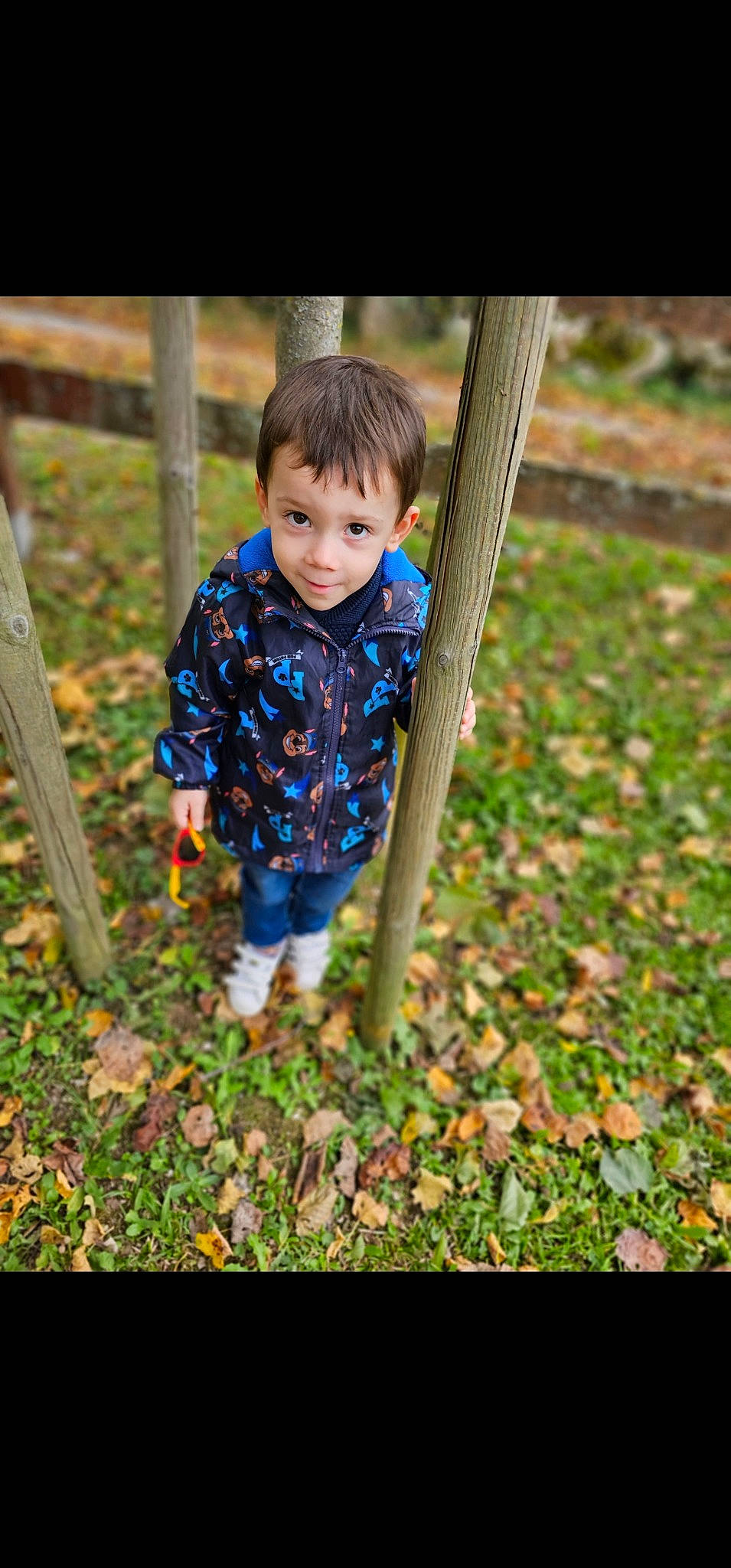 Gabriel participe au concours pour gagner de l'argent avec cette photo : baby, baby_toddler_clothing, child, city, electric_blue, eye, fun, grass, happy, leaf, leisure, people_in_nature, person, plant, playground, recreation, smile, soil, toddler, tree