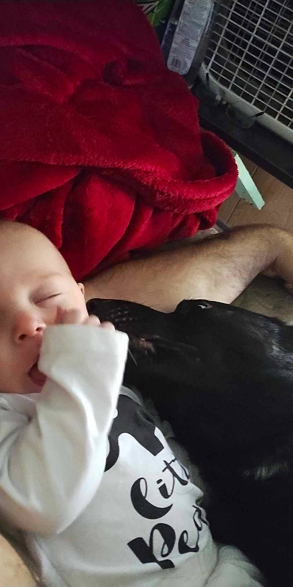 Kevin joined the competition — help win amazing prizes! baby, baby_sleeping, black, carmine, comfort, finger, fur, hand, headgear, human_leg, linens, lip, magenta, mouth, muscle, organ, outerwear, person, skin, textile