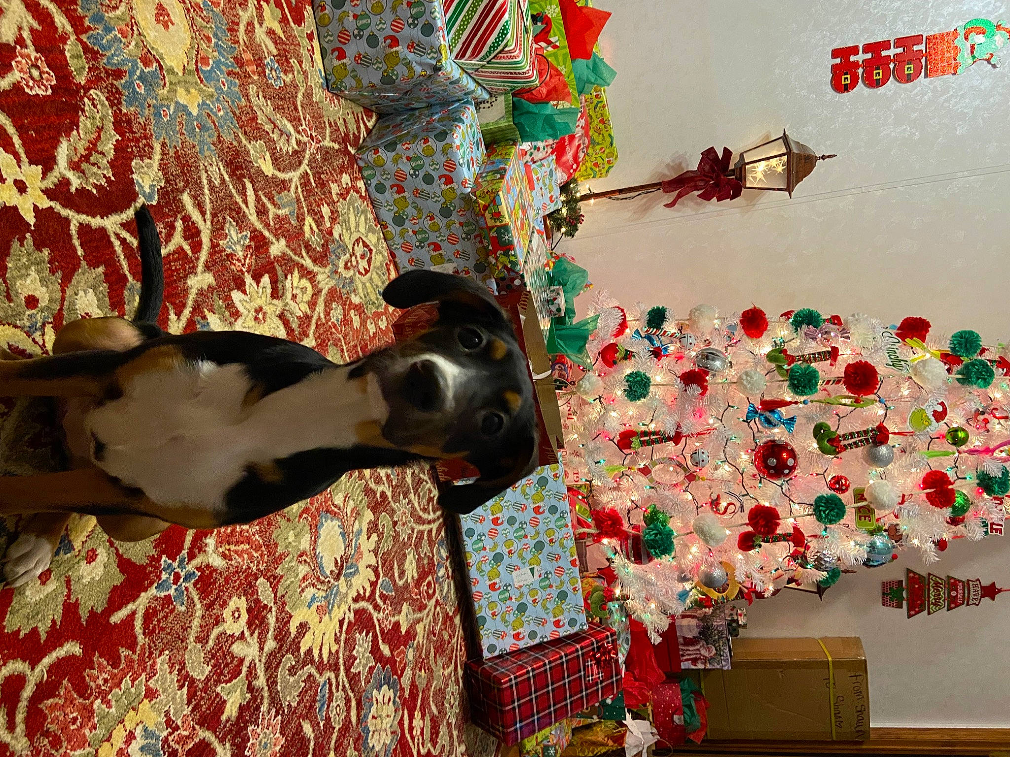 Mya joined the competition — help win amazing prizes! art, carmine, carpet, decoration, event, fawn, flooring, interior_design, linens, ornament, pattern, plant, room, textile, tradition, tree, visual_arts, wall, wood