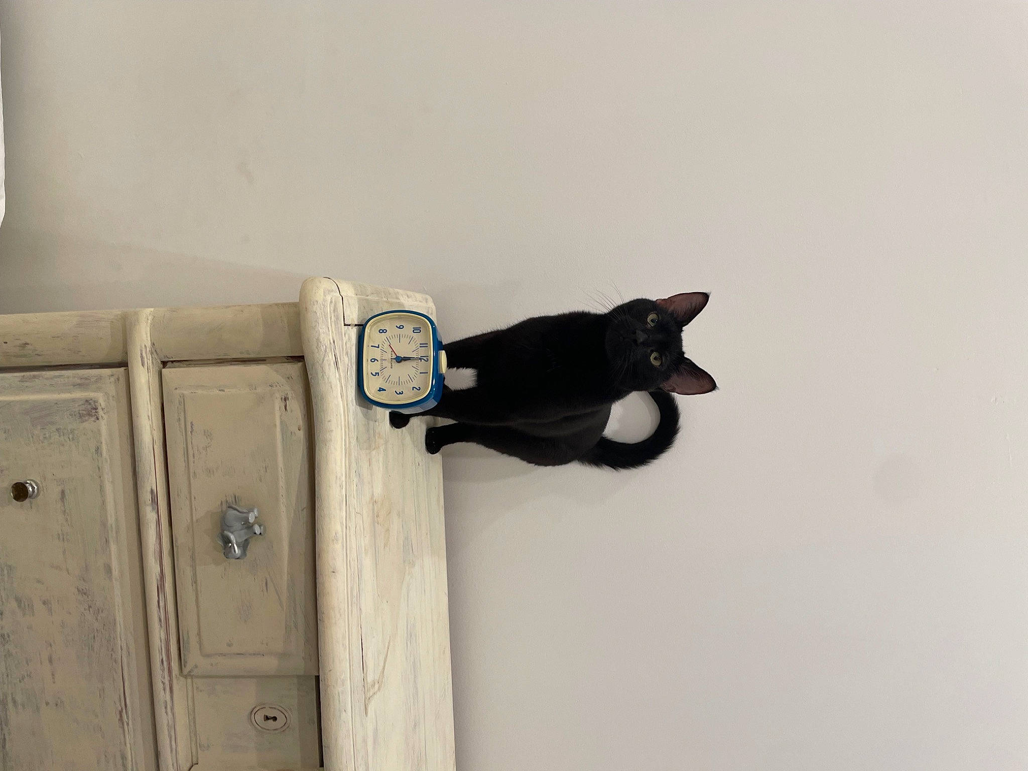 Mashka is registered to the contest to win money with this photo: dead_bolt, door, door_handle, electric_blue, fixture, font, funeral, handle, hardwood, home_accessories, home_door, household_hardware, latch, lock, metal, rectangle, room, security, wood