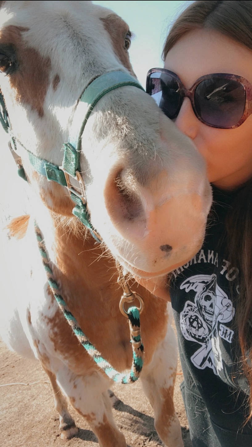 Rumor joined the competition — help win amazing prizes! body_jewelry, chest, close_up, eyebrow, eyelash, eyewear, fashion_accessory, fawn, fun, glasses, goggles, hair, jewellery, selfie, skin, sunglasses, trunk, vision_care, white, working_animal