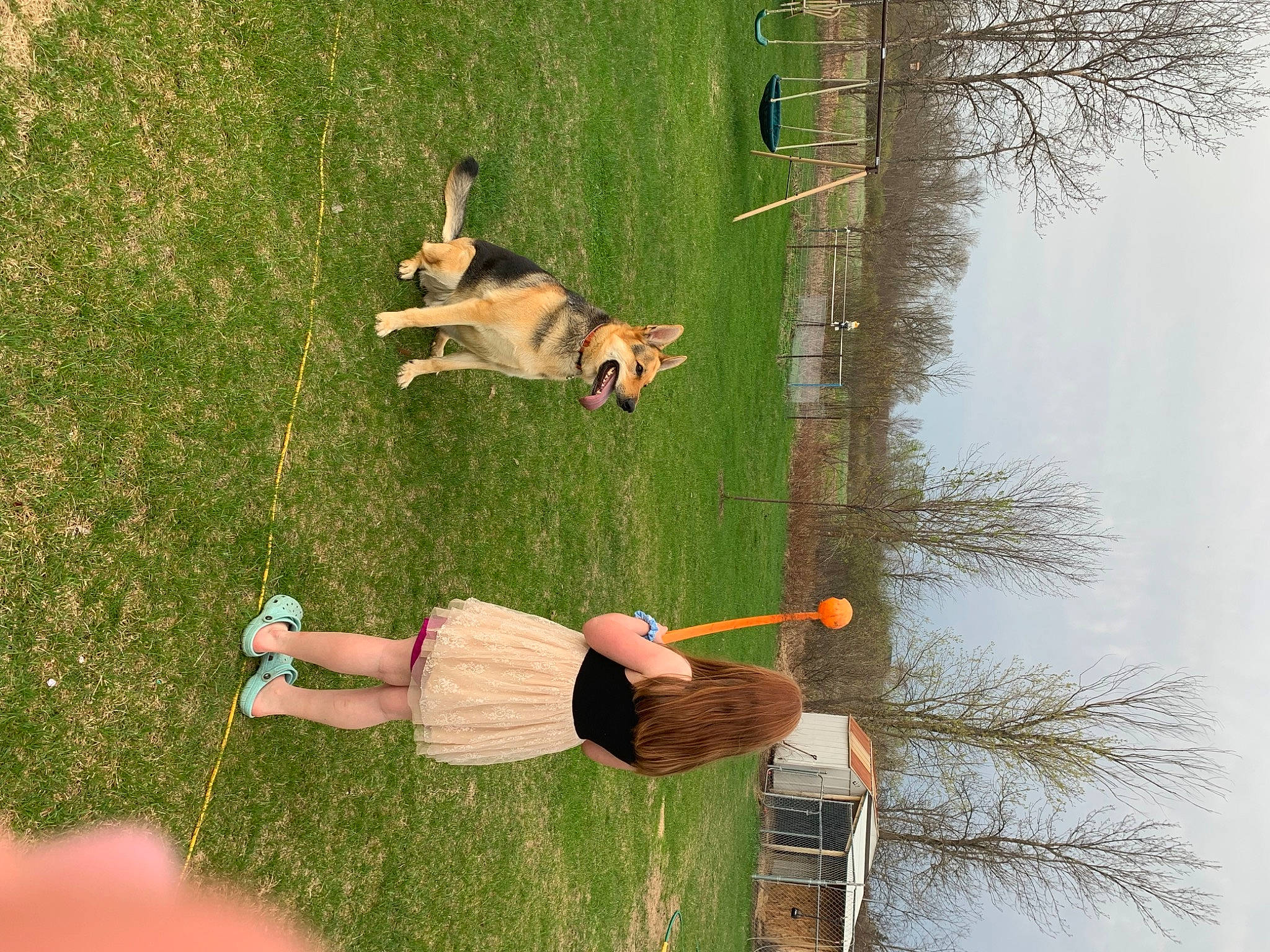 Meeko is registered to the contest to win money with this photo: companion_dog, dog, elbow, fun, grass, grassland, knee, landscape, leisure, people_in_nature, plant, recreation, shorts, sky, t_shirt, tree