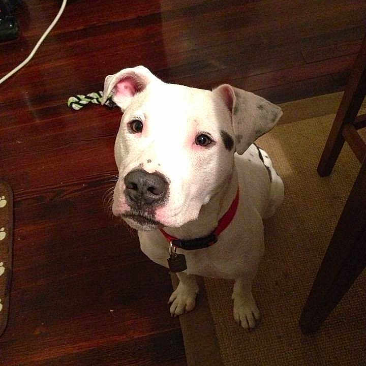 Jax is registered to the contest to win money with this photo: