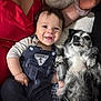 baby, child, dog, smile, cuddling, denim_overalls, person, hand, cushion, red_clothing, happy, pet, fur, indoor, portrait, cute, resting, cozy, human, expression