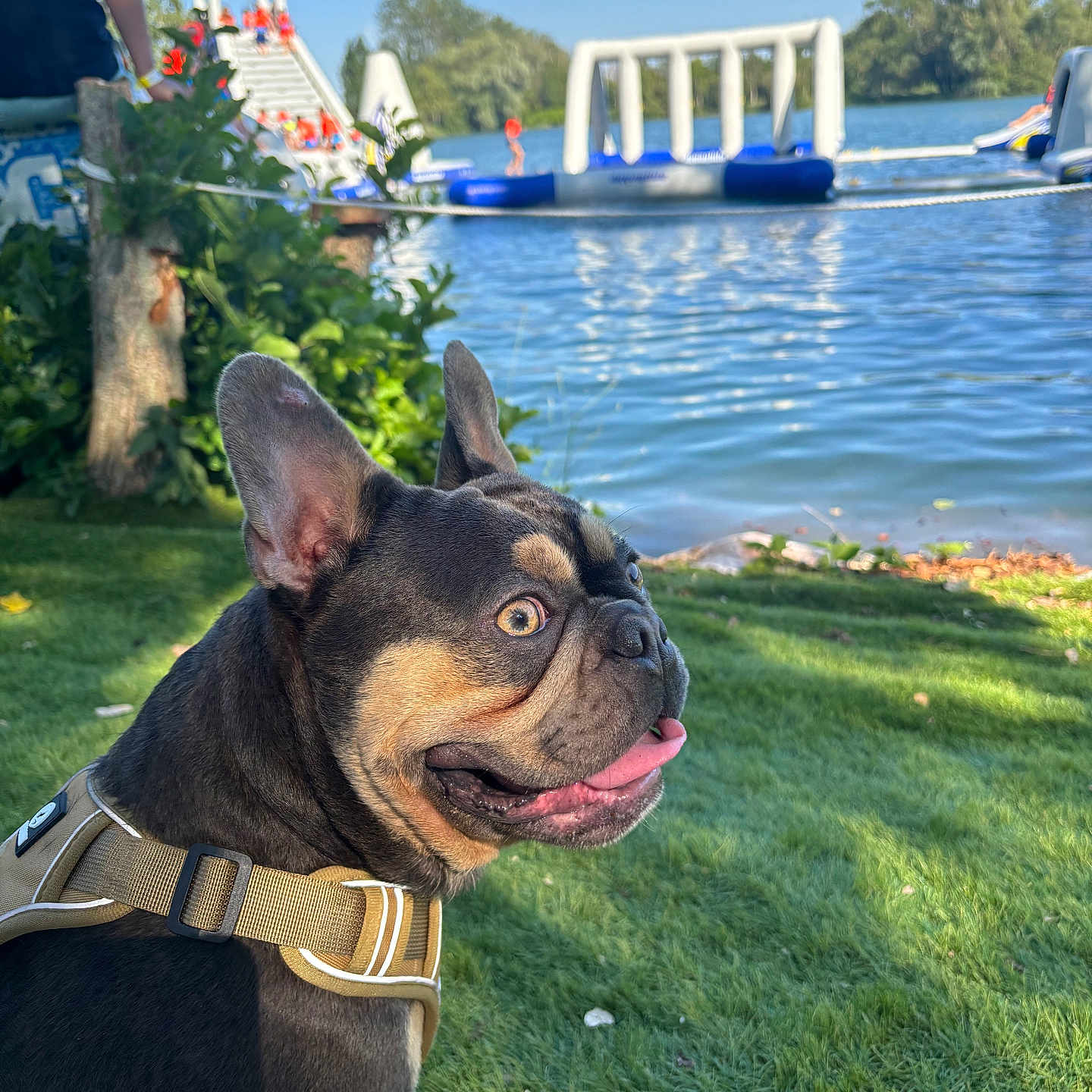 Sully