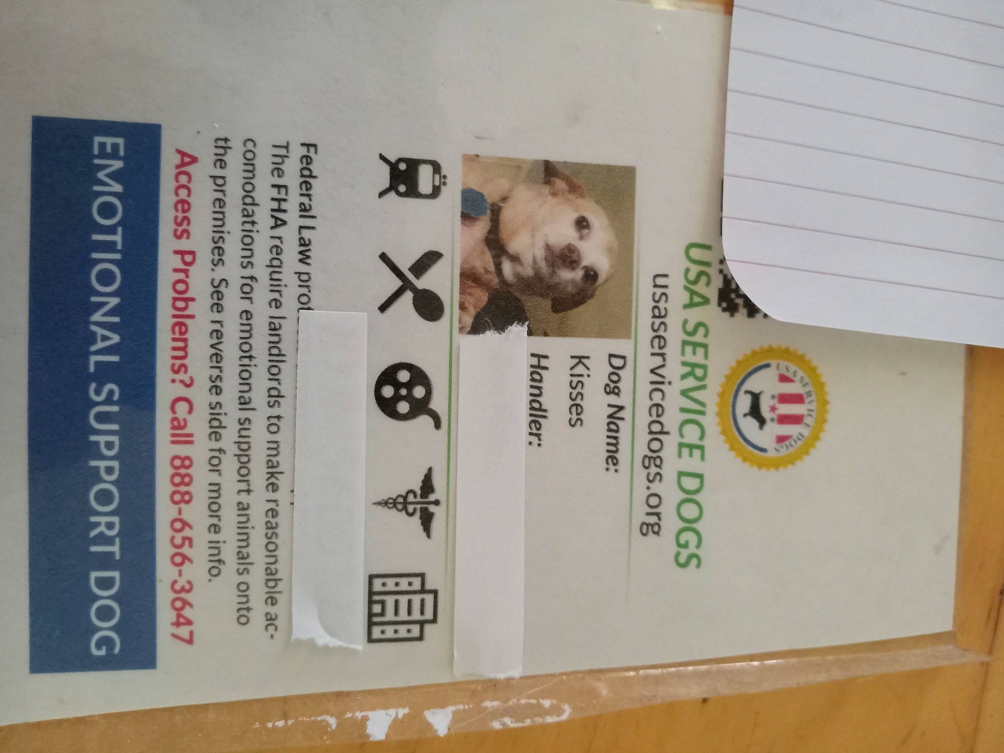 Kisses is registered to the contest to win money with this photo: advertising, font, paper, paper_product, publication, room, teddy_bear