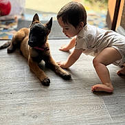 Nolan participe au concours pour gagner de l'argent avec cette photo : animal, baby, child, collar, crawling, curious, cute, dog, floor, fur, indoor, light, onesie, pet, playful, puppy, side_view, toddler, wood, young