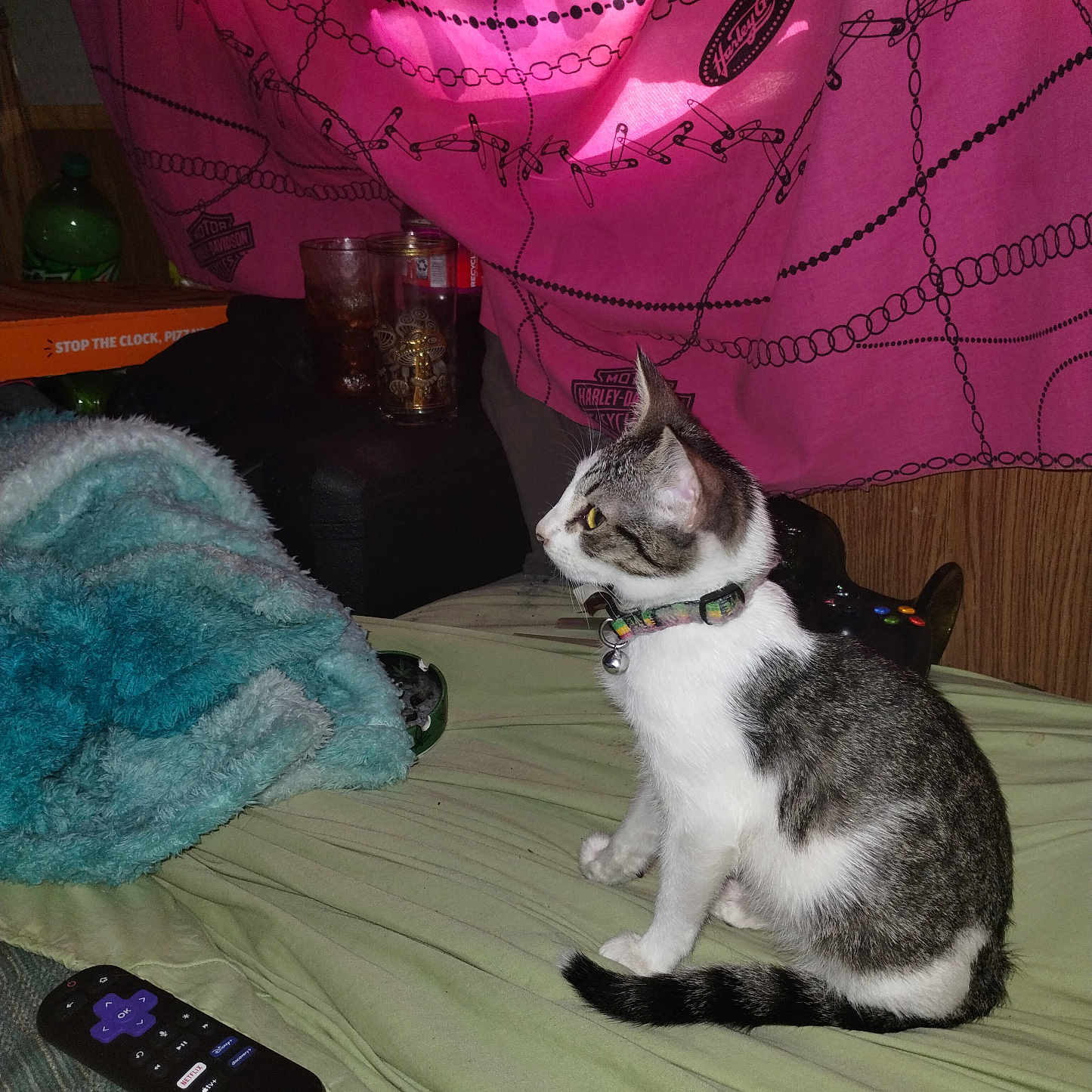 Luna