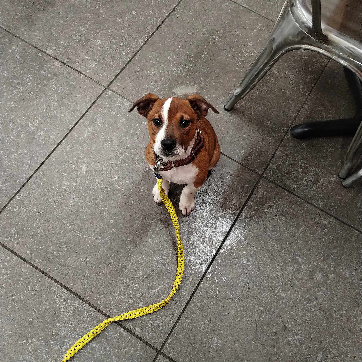 Max