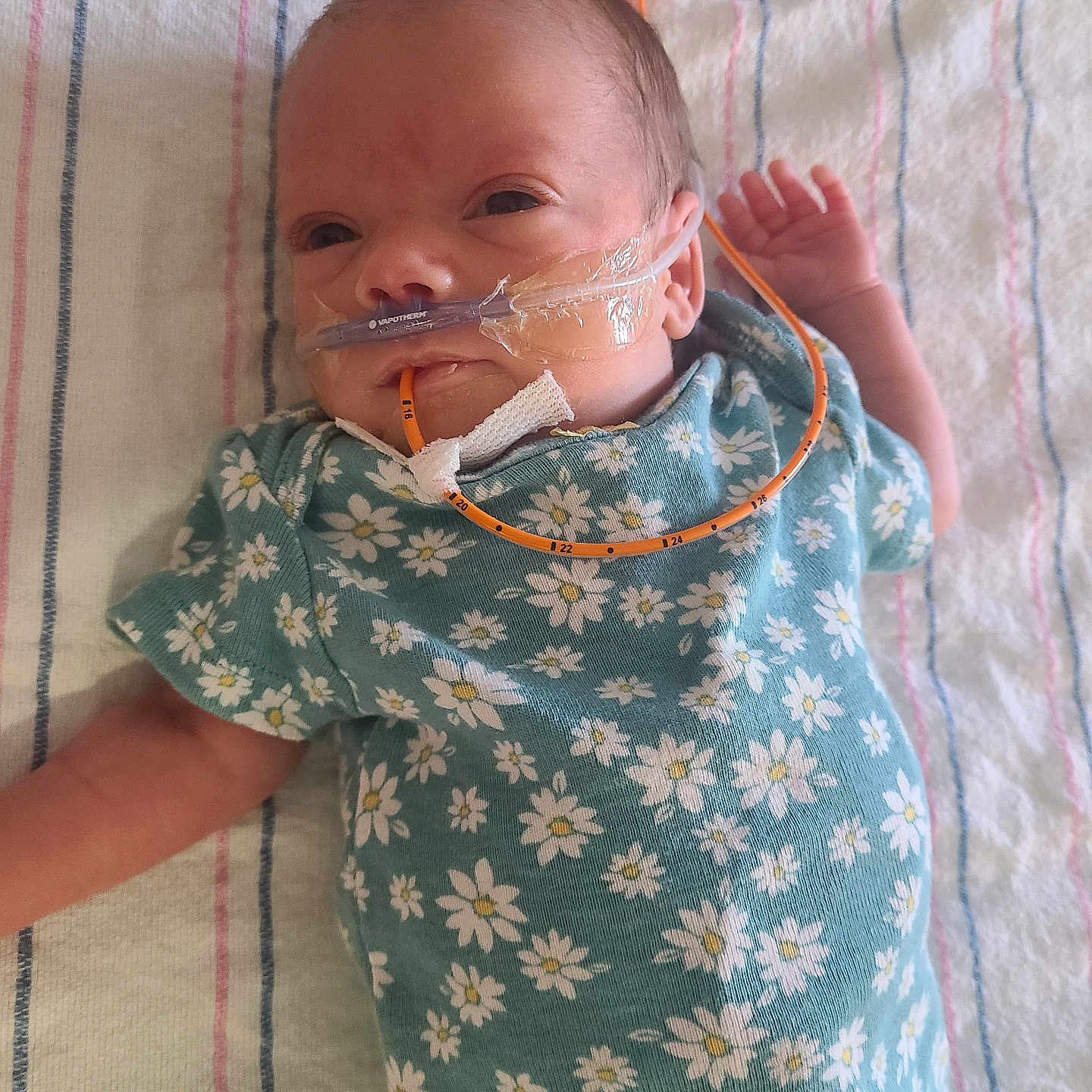 Oaklee joined the competition — help win amazing prizes! baby, bed, blue_stripe, child, cute, face, floral_clothing, healthcare, hospital, hospital_equipment, infant, lying_down, medical_tube, newborn, person, pink_stripe, resting, small, striped_blanket, white_background