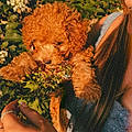 Rissa T.