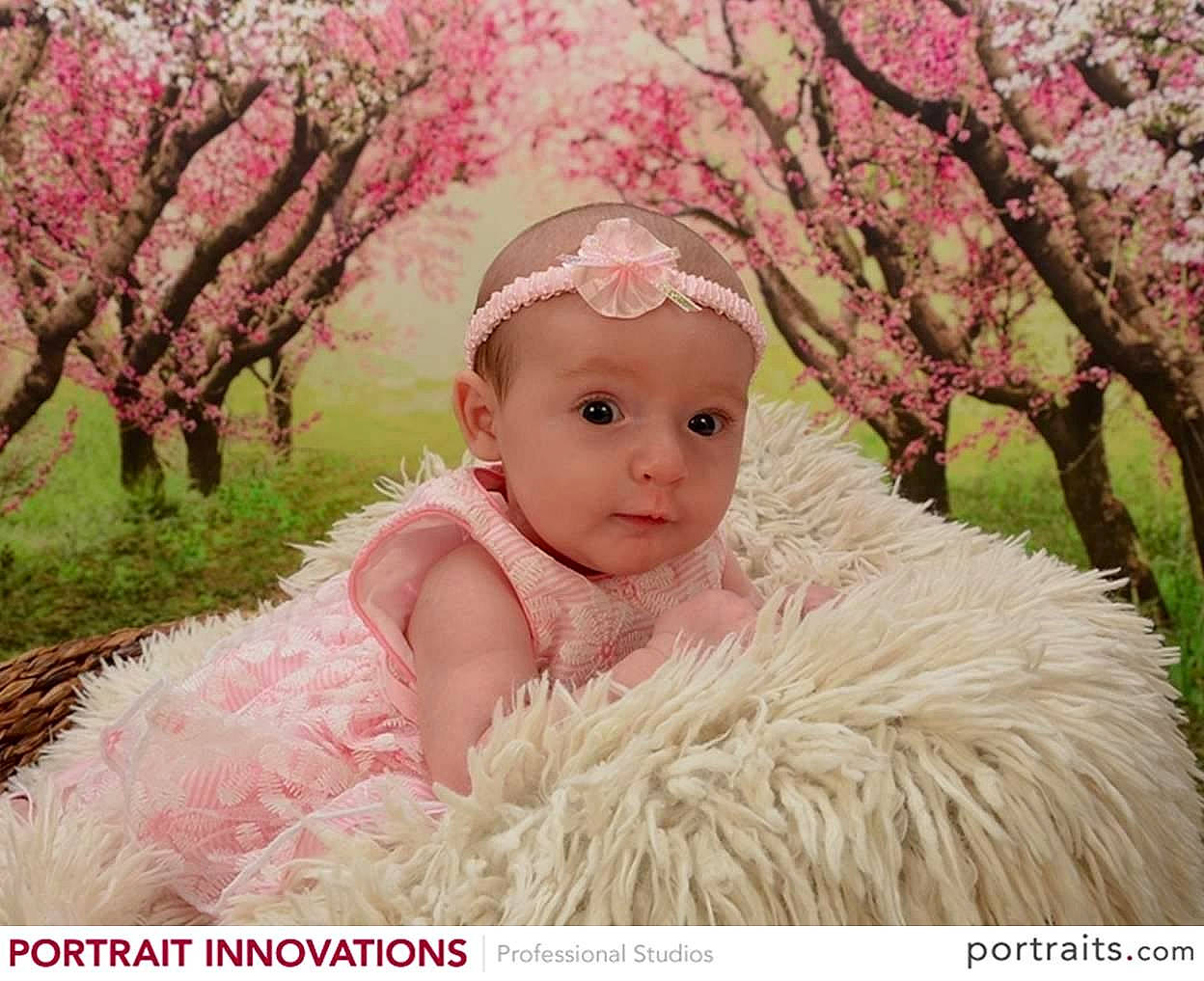 Adalie is registered to the contest to win money with this photo: blossom, child, flower, girl, hair_accessory, headpiece, infant, person, petal, pink, spring, toddler