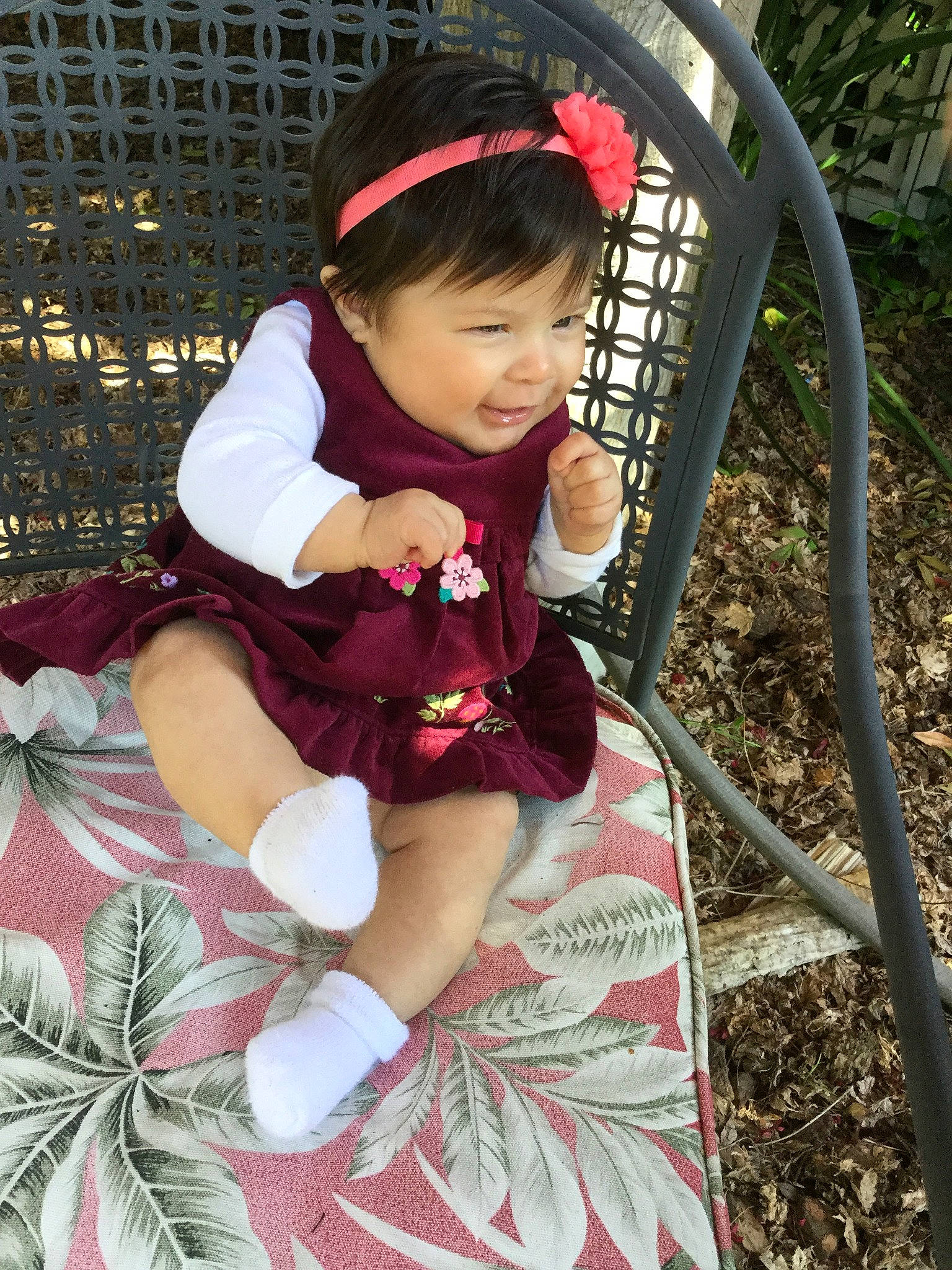 Sequoia joined the competition — help win amazing prizes! child, person, plant, play, smile, toddler