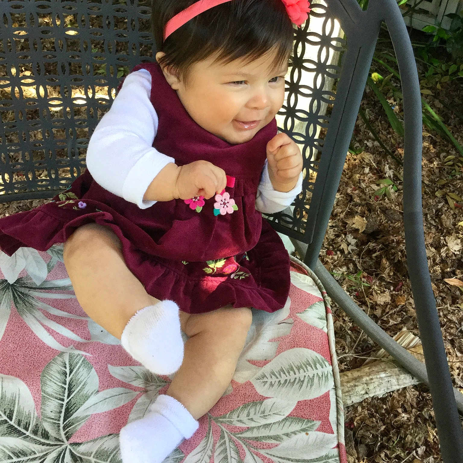 Sequoia joined the competition — help win amazing prizes! child, person, plant, play, smile, toddler