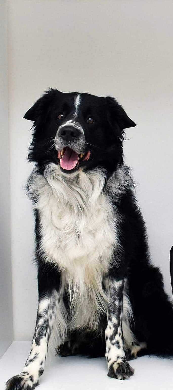 Harko