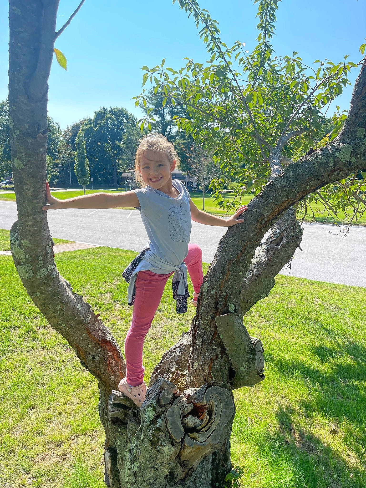 Kenna joined the competition — help win amazing prizes! art, botany, branch, fun, grass, happy, joy, leaf, leisure, people_in_nature, person, plant, sky, spring, terrestrial_plant, toddler, tree, trunk, waist, wood