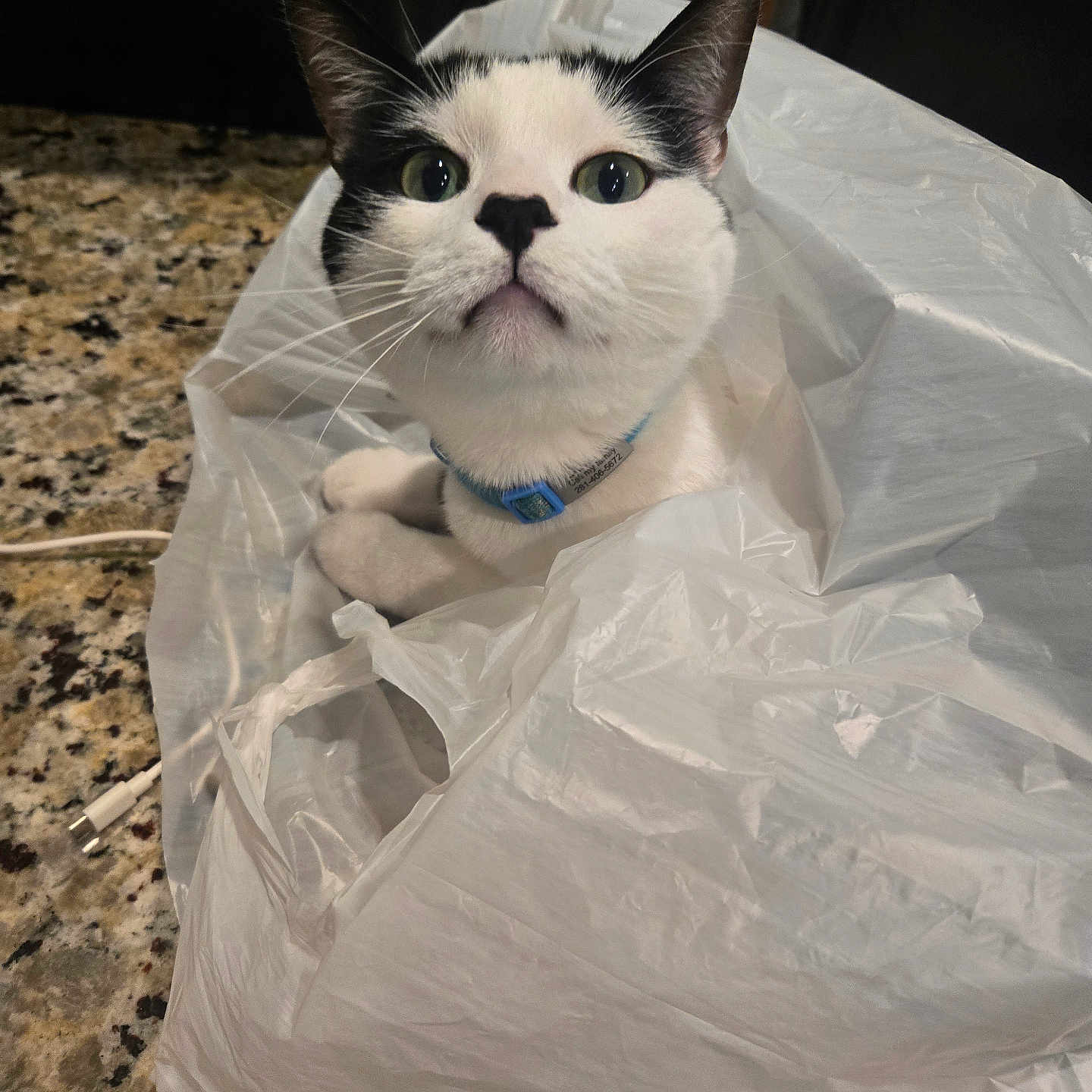 Curello