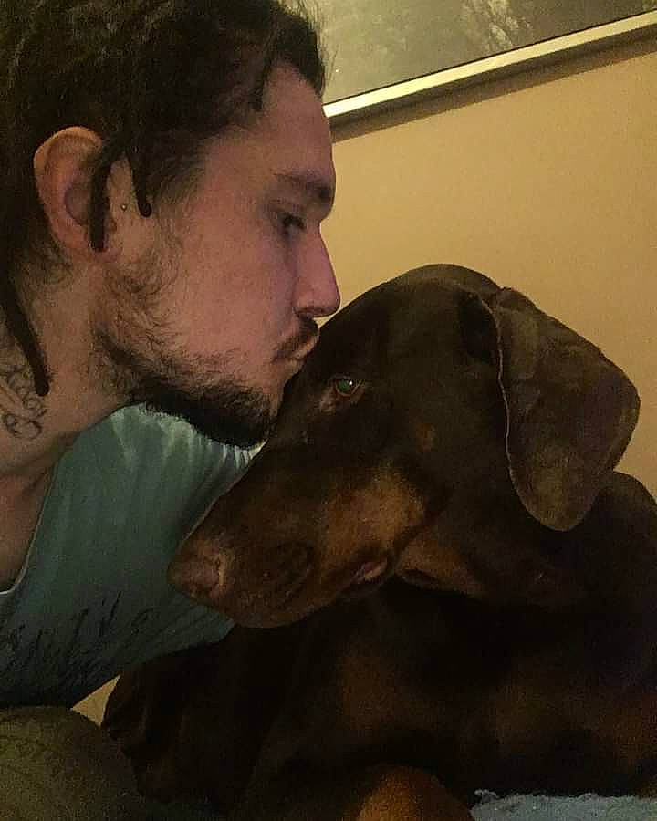 Jaya a rejoint le concours — aidez-le/la à gagner de superbes lots ! beard, carnivore, comfort, companion_dog, dog, dog_breed, ear, fawn, gesture, guard_dog, happy, jaw, kiss, liver, love, nose, selfie, whiskers, window, working_animal