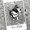 Tyson participe au concours pour gagner de l'argent avec cette photo : dog, black_and_white, grass, polaroid_frame, date_overlay, outdoor, pet, canine, collar, sitting, cute, portrait, animal, looking_up, nature, photo_frame, vintage_style, doodle, playful, monochrome