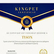 Tyson participe au concours pour gagner de l'argent avec cette photo : award, background, blue, certificate, competition, date, design, document, dog, formal, french, gold, medal, paper, participant, ranking, ribbon, seal, text, typography