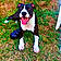Tyson