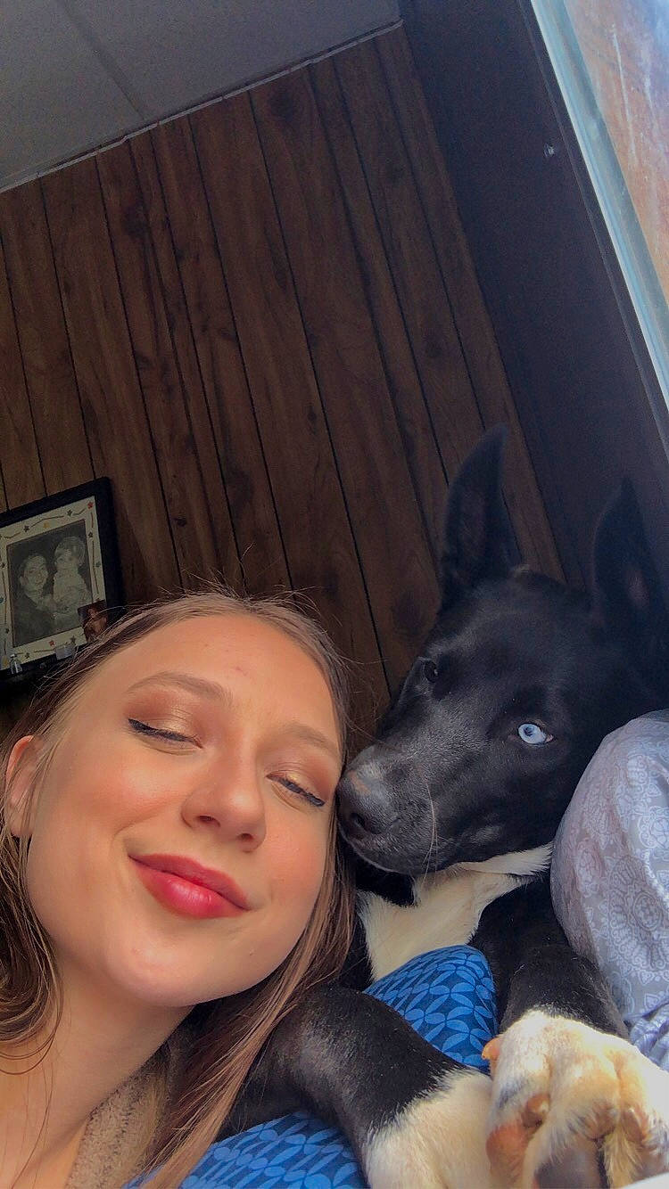 Cheech joined the competition — help win amazing prizes! black_hair, carnivore, comfort, companion_dog, dog, dog_breed, ear, eyelash, eyewear, flash_photography, fun, fur, guard_dog, happy, lipstick, nose, selfie, smile, snout, wood