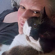Chewbacca joined the competition — help win amazing prizes! affection, animal, black_and_white_cat, casual, cat, closeup, comfort, couch, cozy, face, furry, gray_hair, home, indoor, light, person, pet, portrait, relaxing, snuggling