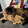 Rosie And Bailey