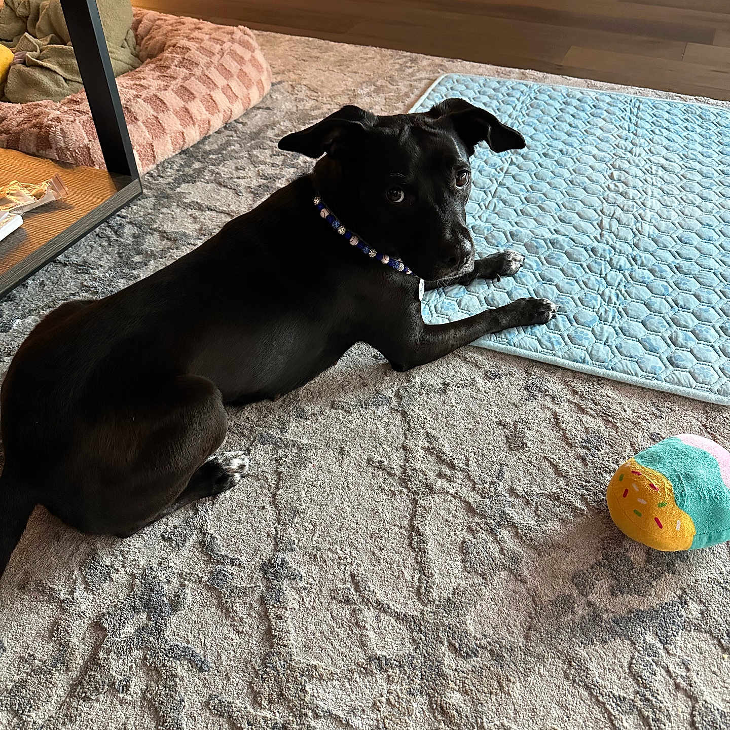 Luna