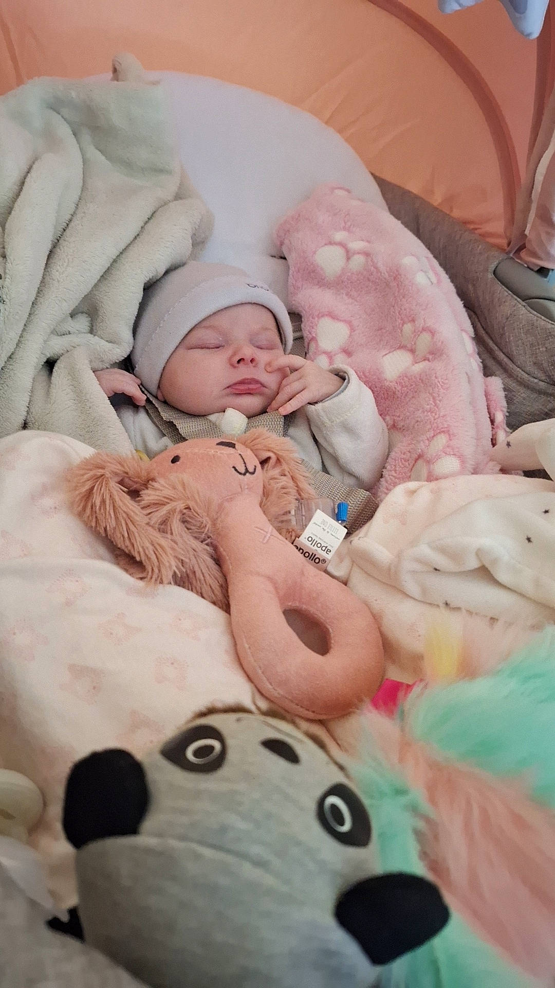 Railey participe au concours pour gagner de l'argent avec cette photo : baby, baby_products, baby_safety, baby_sleeping, baby_toddler_clothing, bedding, bedtime, cheek, comfort, event, finger, fur, happy, head, headwear, linens, person, pink, skin, textile