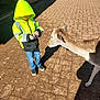 child, deer, hoodie, jeans, outdoor, animal, curious, sunlight, shadow, pavement, nature, interaction, casual_clothing, young, animal_face, daytime, person, standing, animal_interest, rural