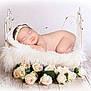 Fernanda is registered to the contest to win money with this photo: baby, sleeping, infant, blanket, bed, flowers, roses, headband, wooden_floor, cute, peaceful, soft, newborn, portrait, white, decor, tender, resting, child, fluffy