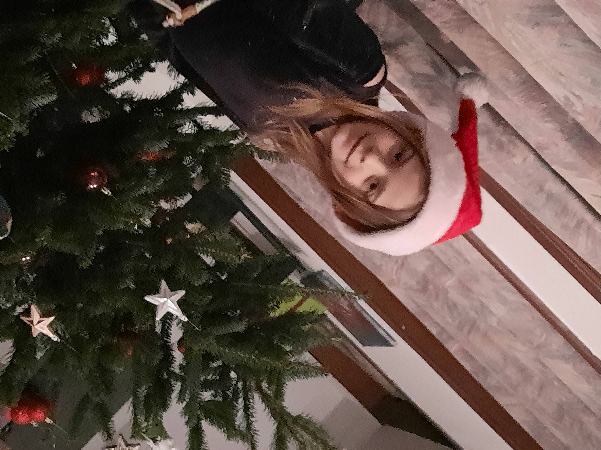 Julie participe au concours pour gagner de l'argent avec cette photo : carmine, christmas_ornament, christmas_tree, conifer, event, fun, happy, hardwood, headwear, holiday, holiday_ornament, joy, leaf, leisure, lighting, material_property, ornament, person, plant, smile