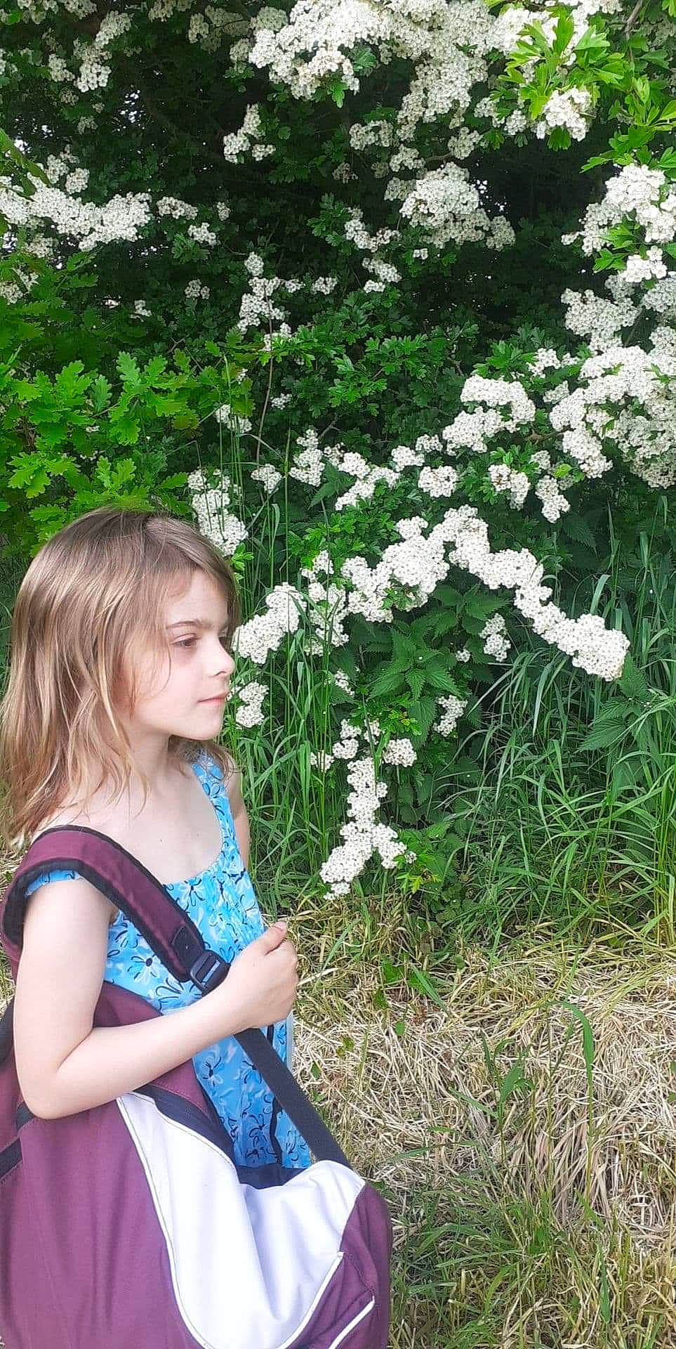 Julie participe au concours pour gagner de l'argent avec cette photo : annual_plant, blond, botany, day_dress, electric_blue, flower, flowering_plant, grass, groundcover, happy, herbaceous_plant, leaf, one_piece_garment, people_in_nature, person, petal, plant, shrub, spring, toddler