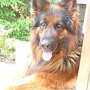 Cooma a rejoint le concours — aidez-le/la à gagner de superbes lots !