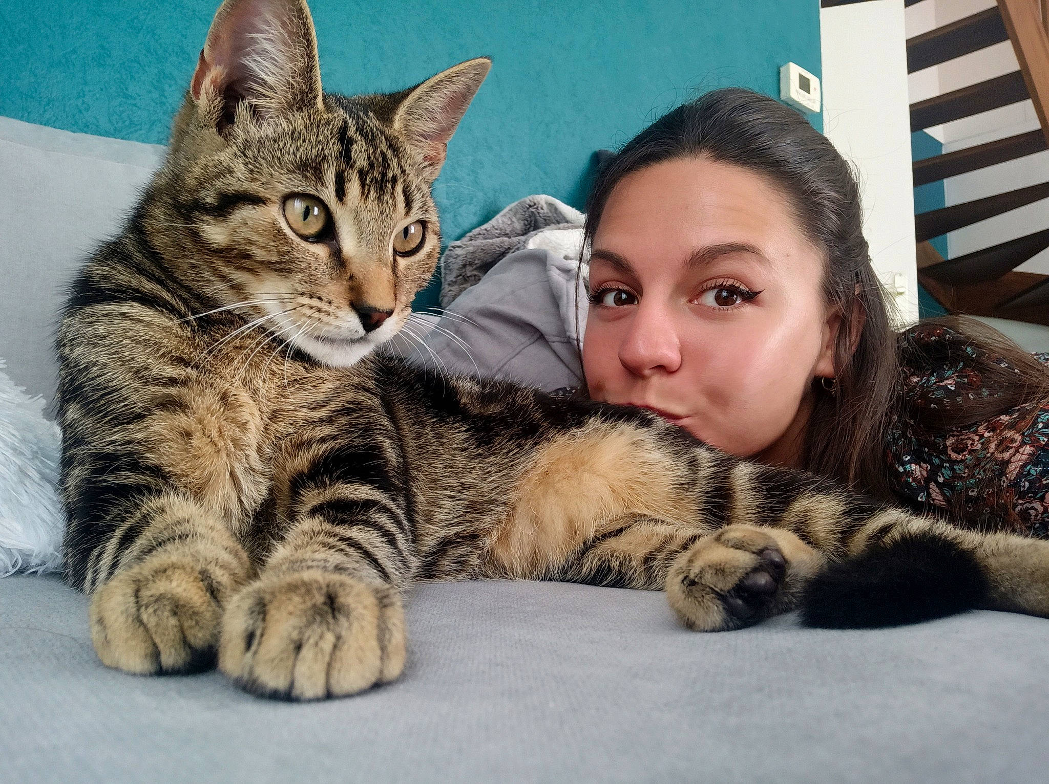 Michel participe au concours pour gagner de l'argent avec cette photo : carnivore, cat, claw, comfort, domestic_short_haired_cat, eye, fawn, felidae, flag, fur, mammal, paw, sitting, small_to_medium_sized_cats, snout, tail, terrestrial_animal, vertebrate, whiskers, wildlife