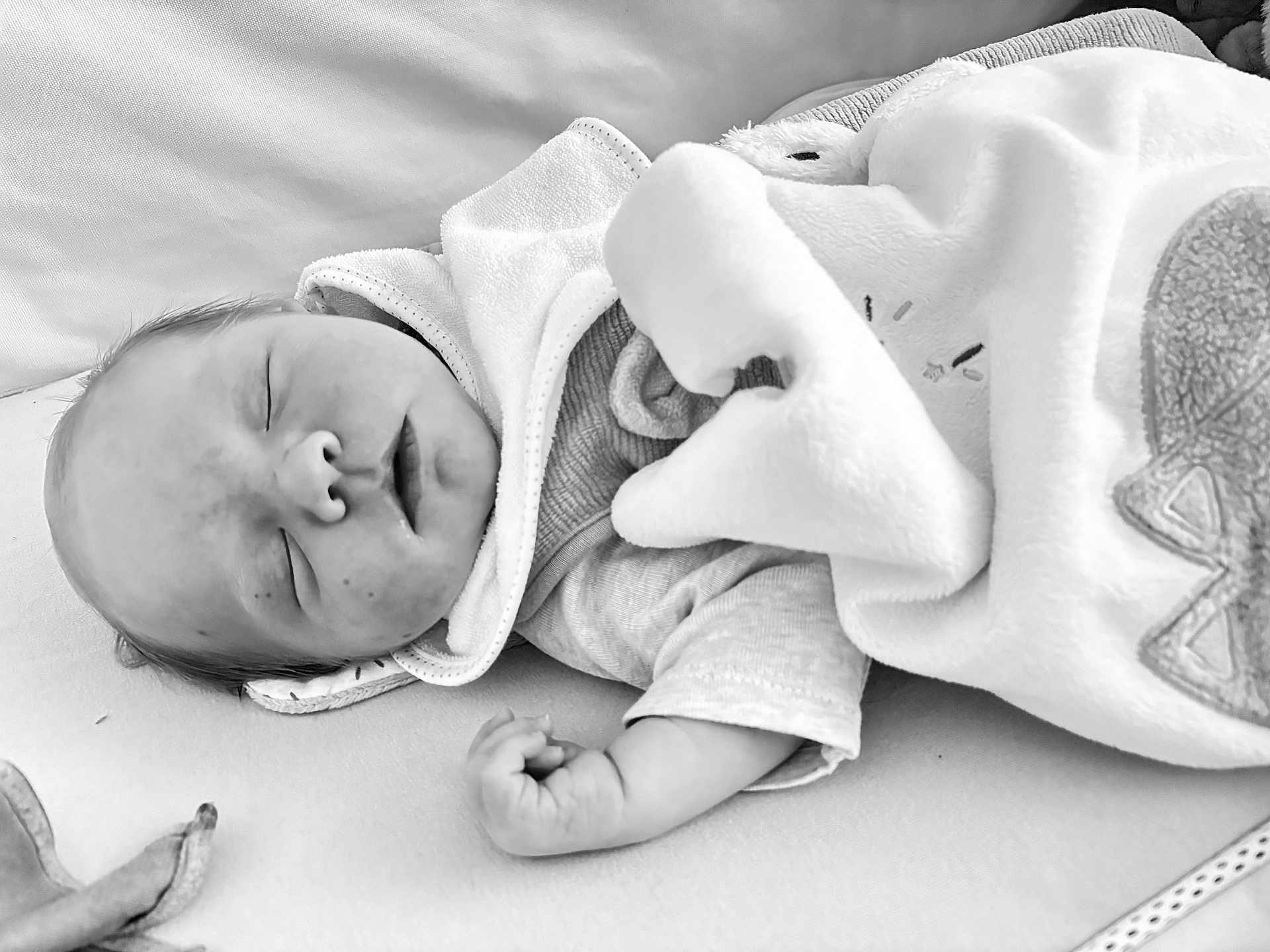Emilio a rejoint le concours — aidez-le/la à gagner de superbes lots ! newborn, baby, sleeping, blanket, infant, peaceful, soft, closeup, portrait, monochrome, resting, child, cozy, cute, young, bed, clothing, hand, face, quiet