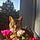 Aslak