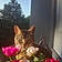 Aslak