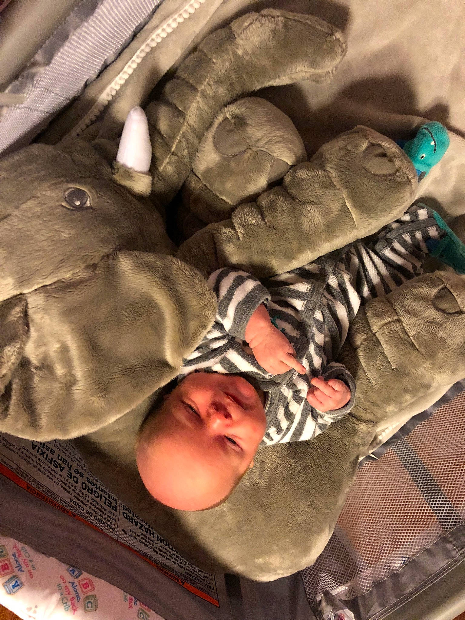 Cameron joined the competition — help win amazing prizes! child, person